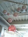 Lustre Rose